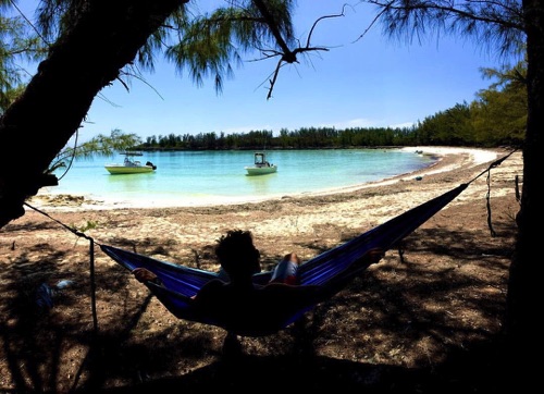 hammock on a deserted island
